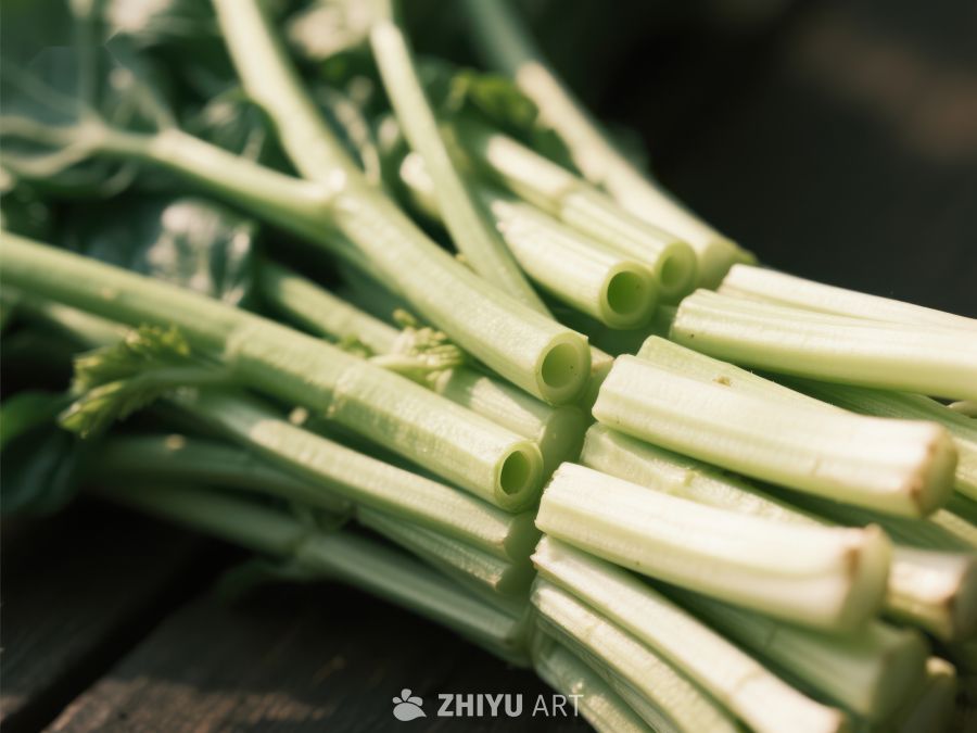 新鲜绿叶蔬菜茎部特写 537