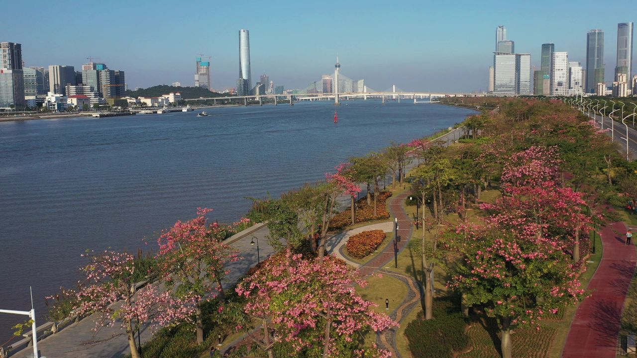 横琴花海长廊 14