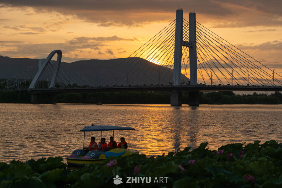夕阳下的大桥 16