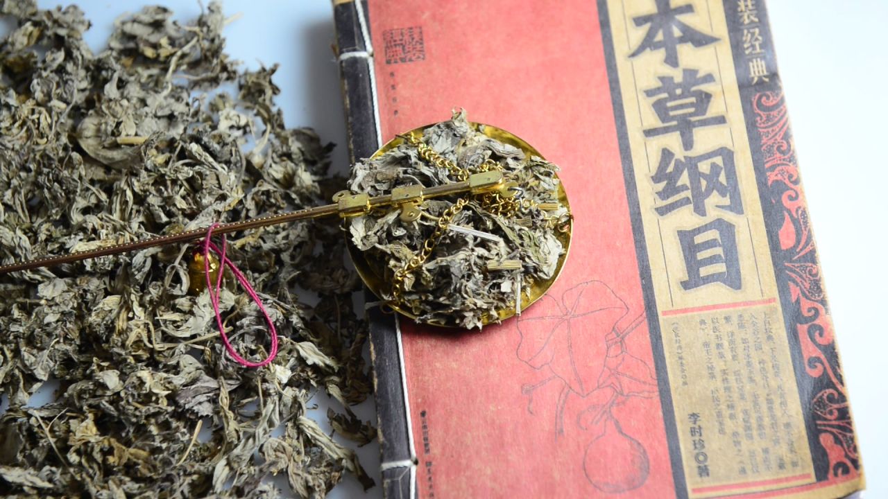 艾叶中草药 19