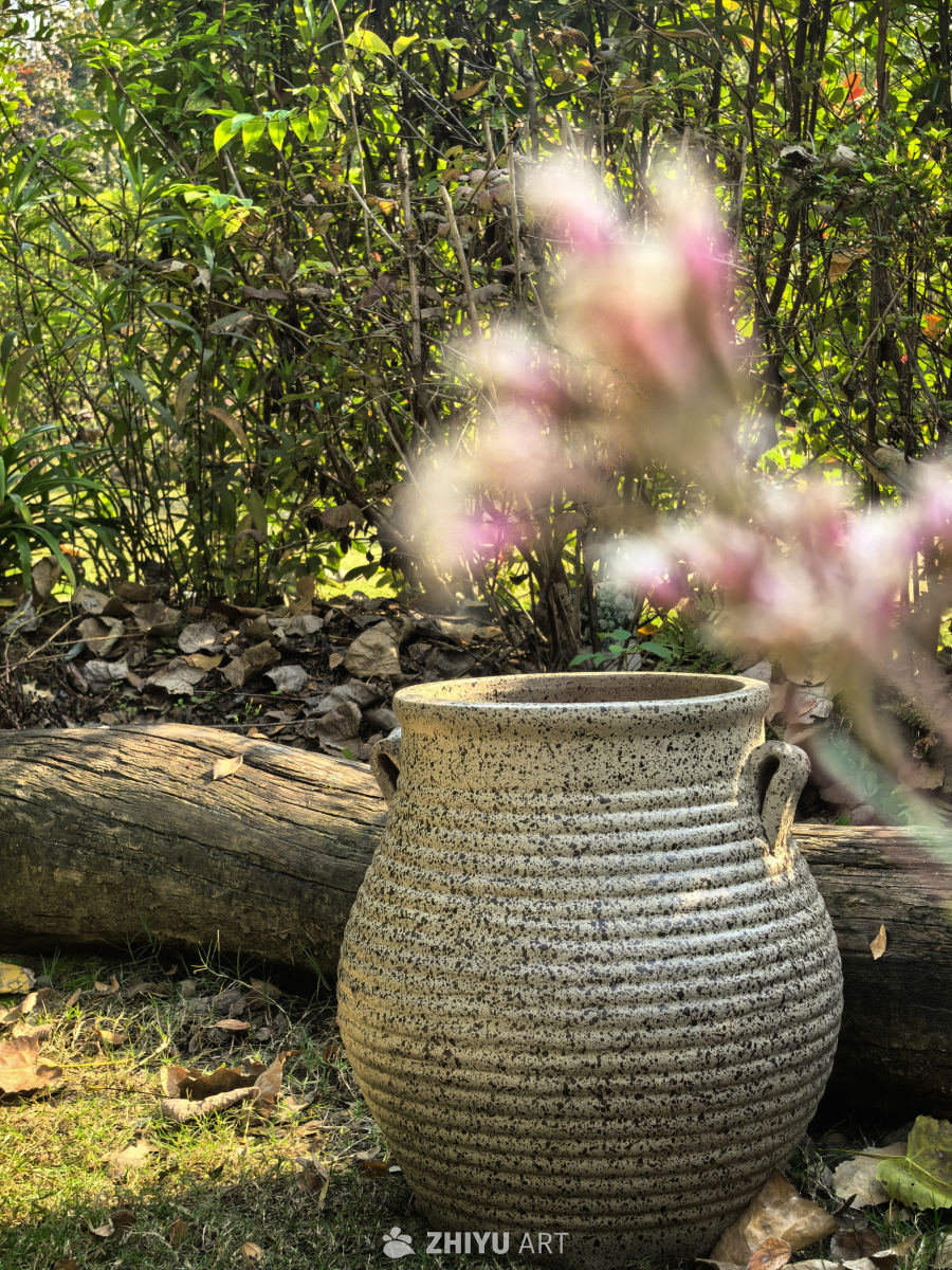 艺术是无边界的 ︿(￣︶￣)︿