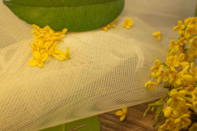 四川绵阳桂花、金桂特写 36