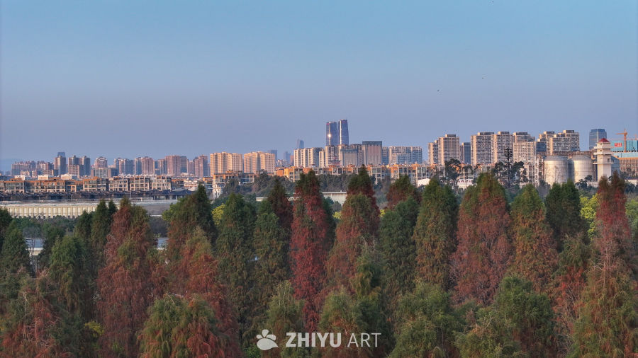 航拍云南昆明海洪湿地公园 6