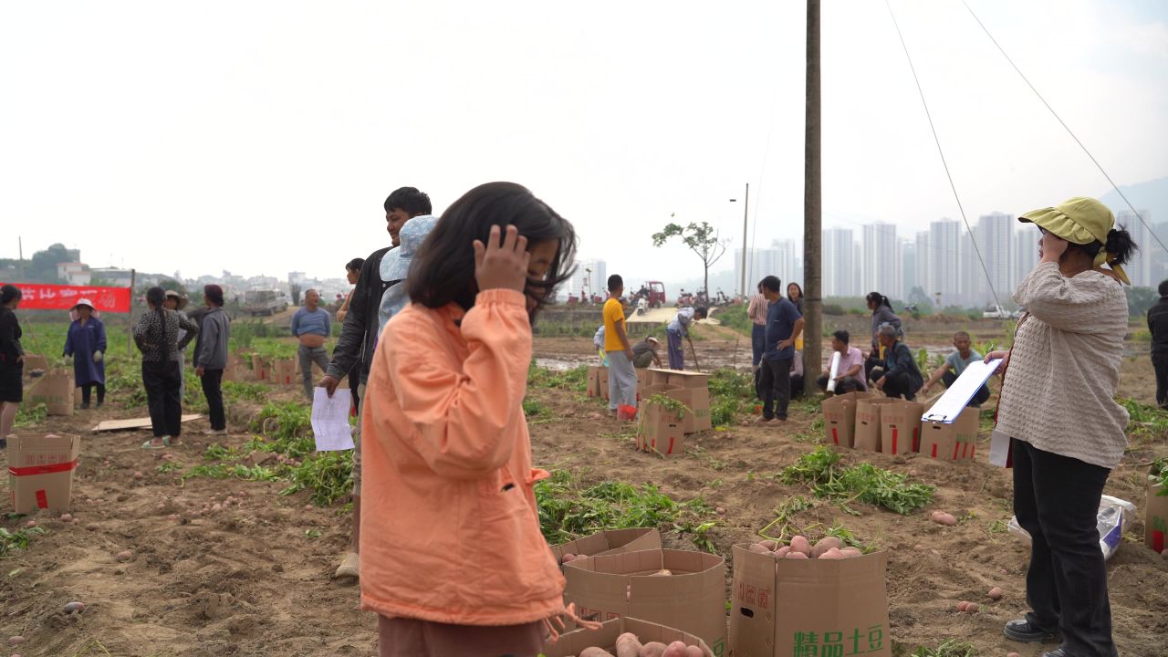 丰收 18