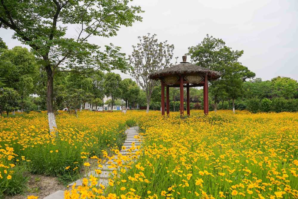 昆山市北村农民公园