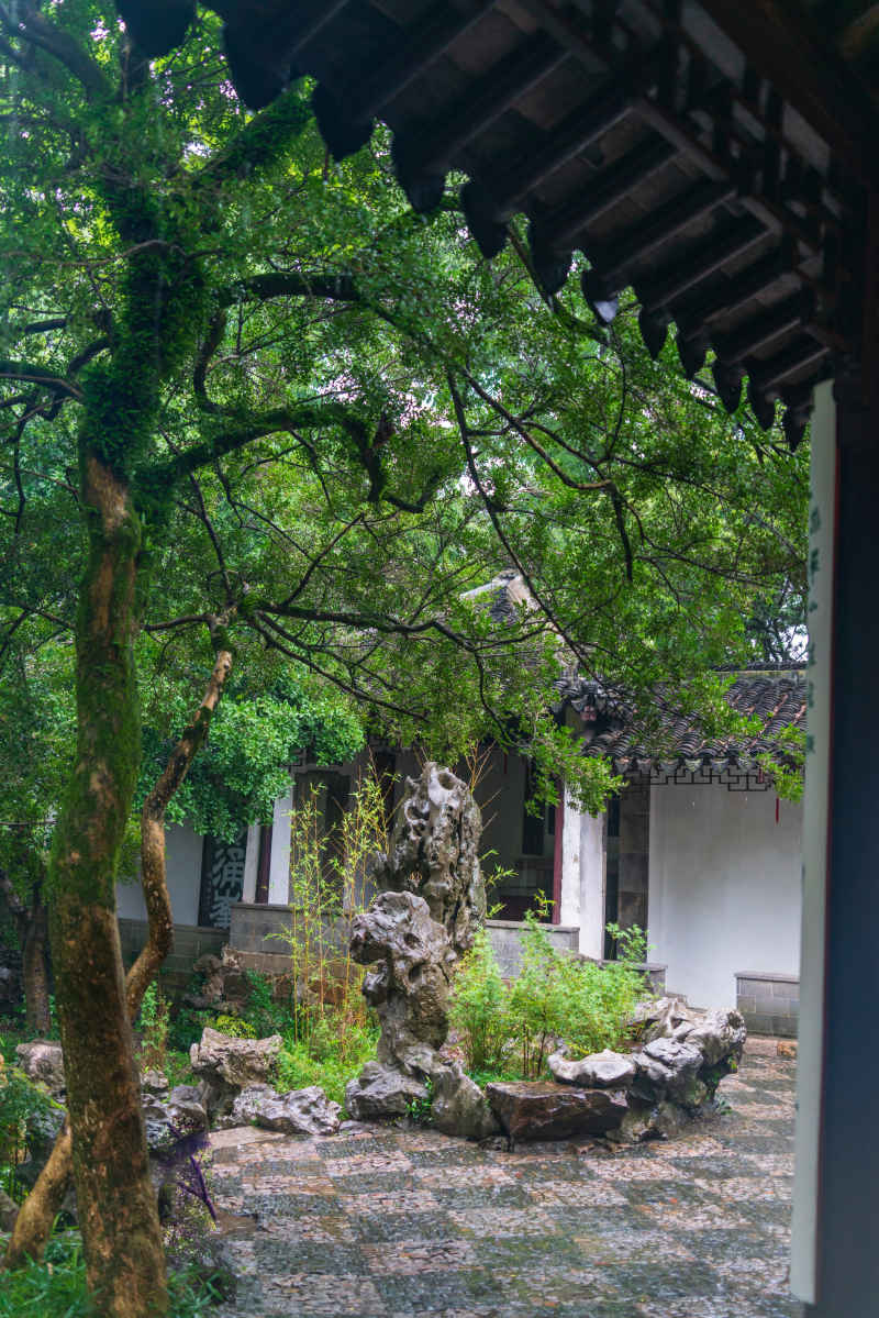 江南水乡 5