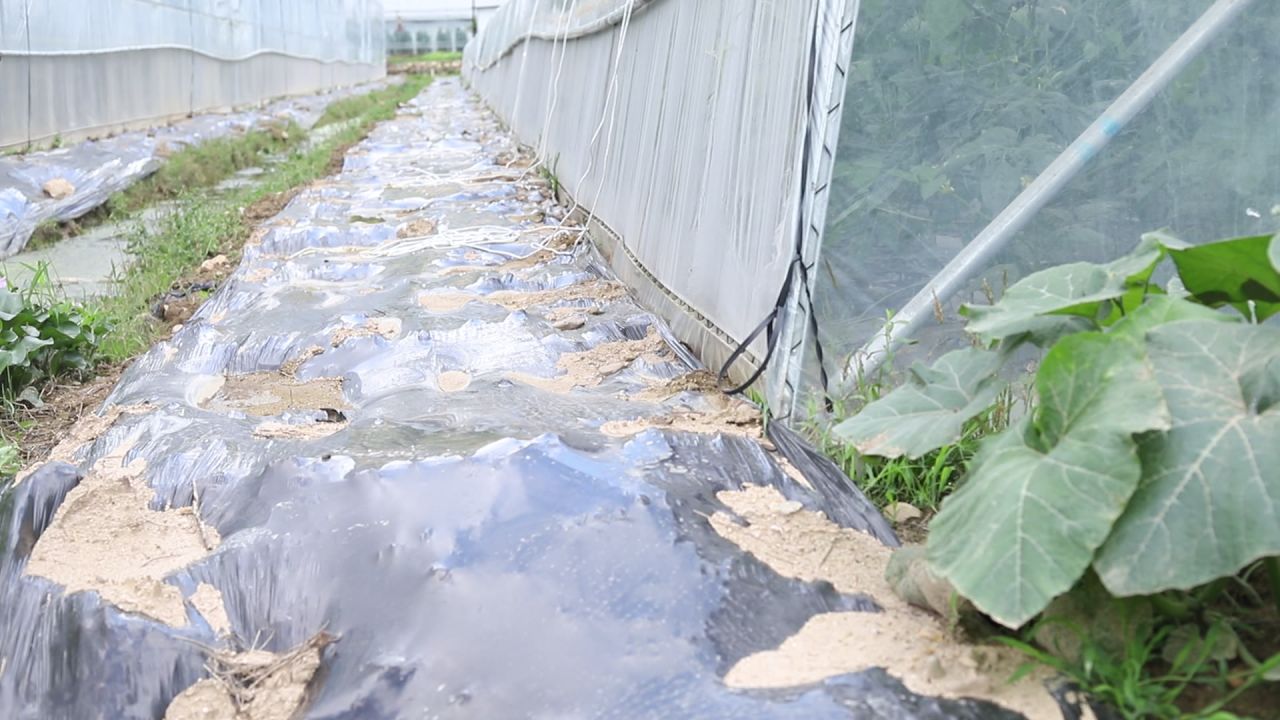 温室棚