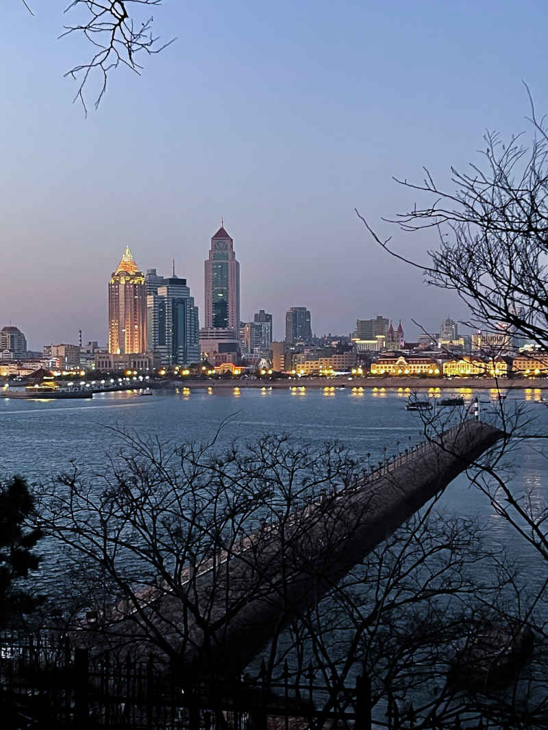 青岛小青岛公园远眺老城夜景