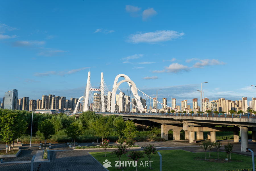 夜景下的城市大桥 10