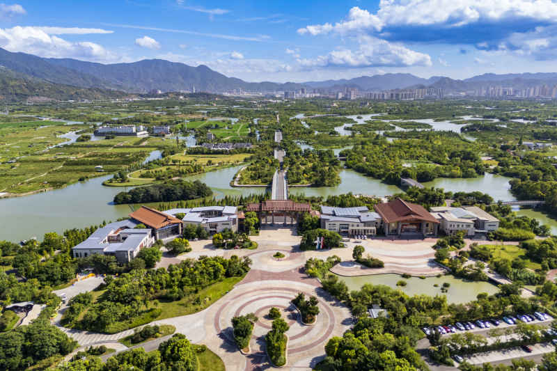 温州三垟湿地 8