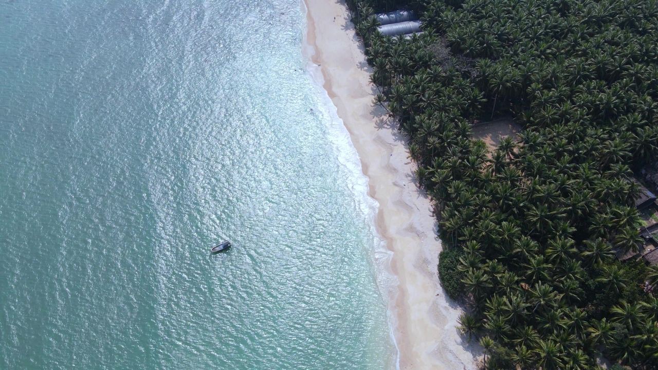 海南琼海博鳌的椰林海岸和碧绿大海