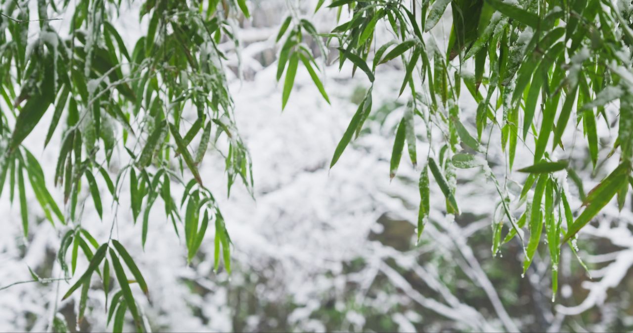 湖南长沙岳麓山爱晚亭城市雪景风光 13