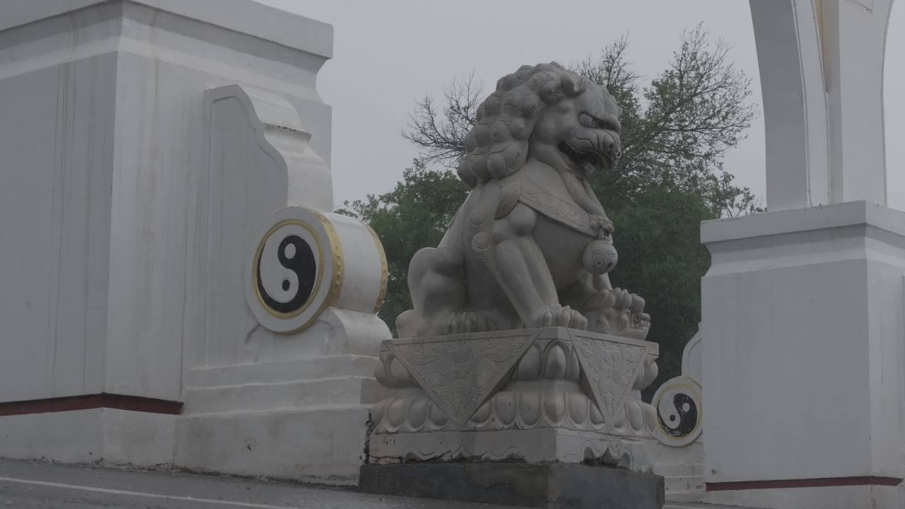 雨中古韵：石狮与太极