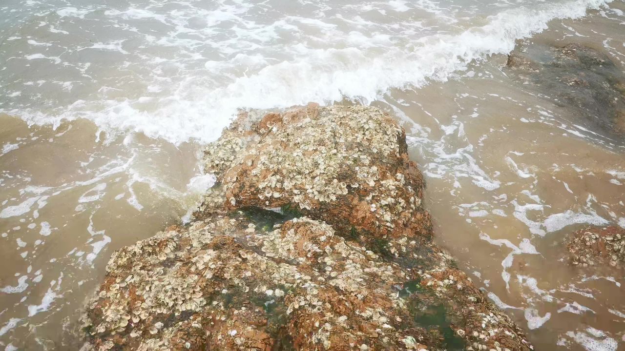 大海海浪沙滩礁石风景实拍