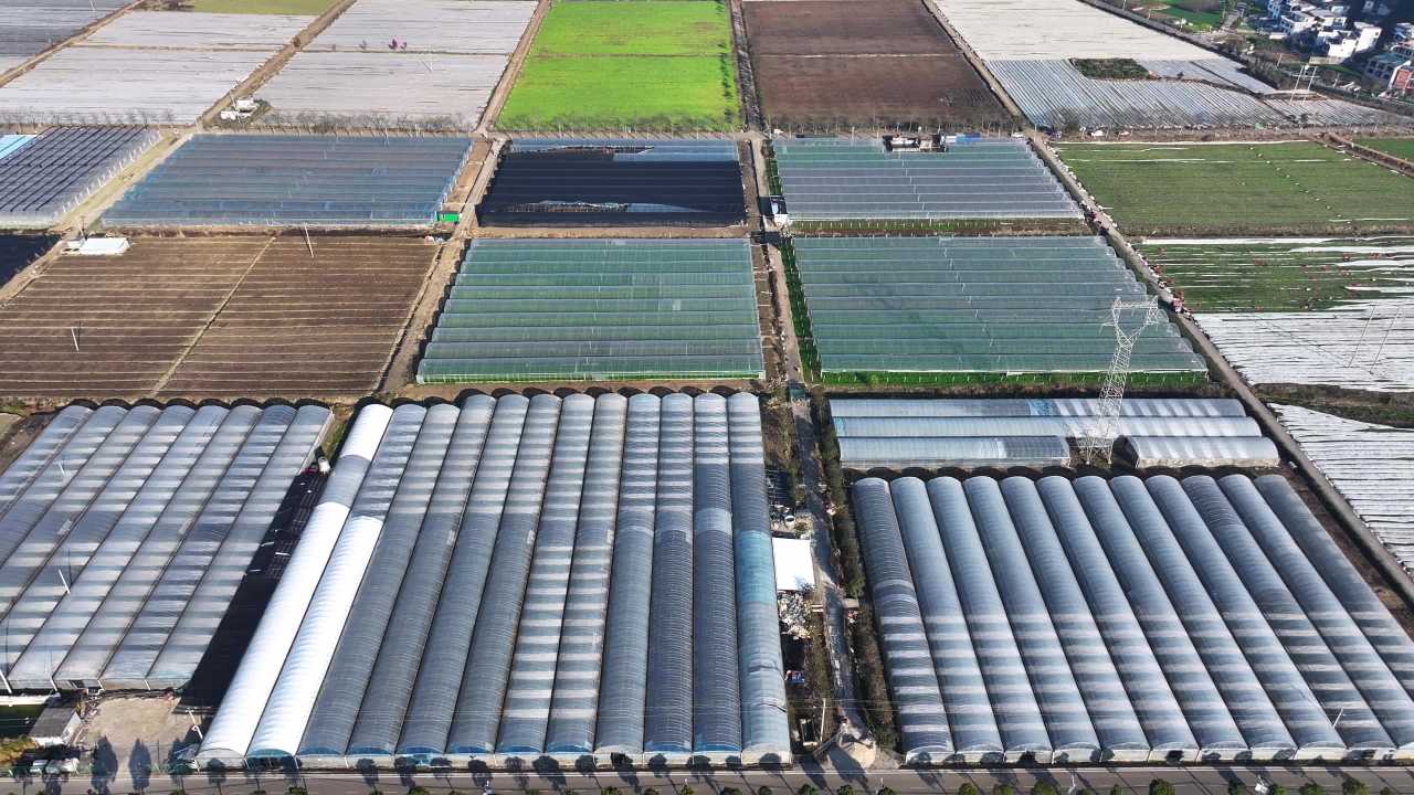 4k航拍现代化农业基地  蔬菜种植基地