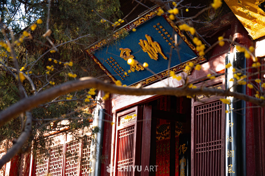 花开寺庙
