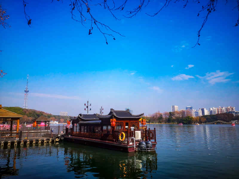 蓝天下枯树枝掉落树叶秋景摄图  