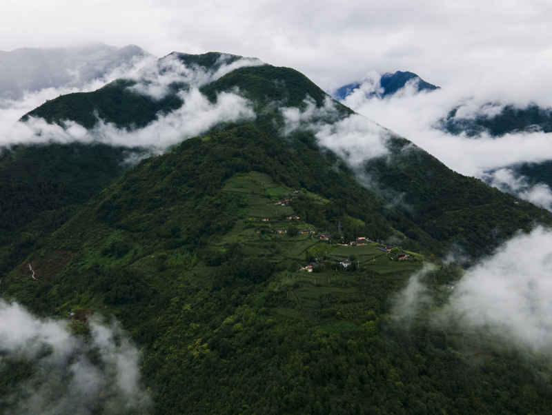海螺沟冰川森林公园 10