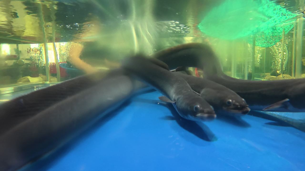 海鲜市场 5