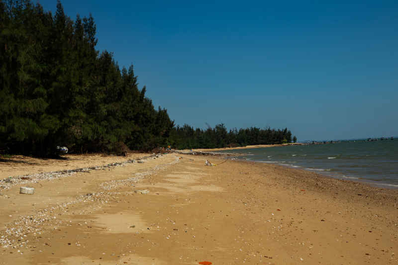 海洋