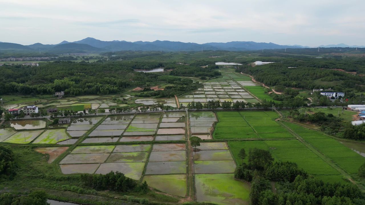 乡村田园农业种植航拍