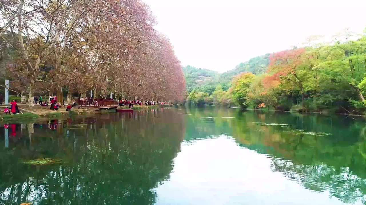 航拍贵州贵阳城市黄金大道梧桐秋景生态
