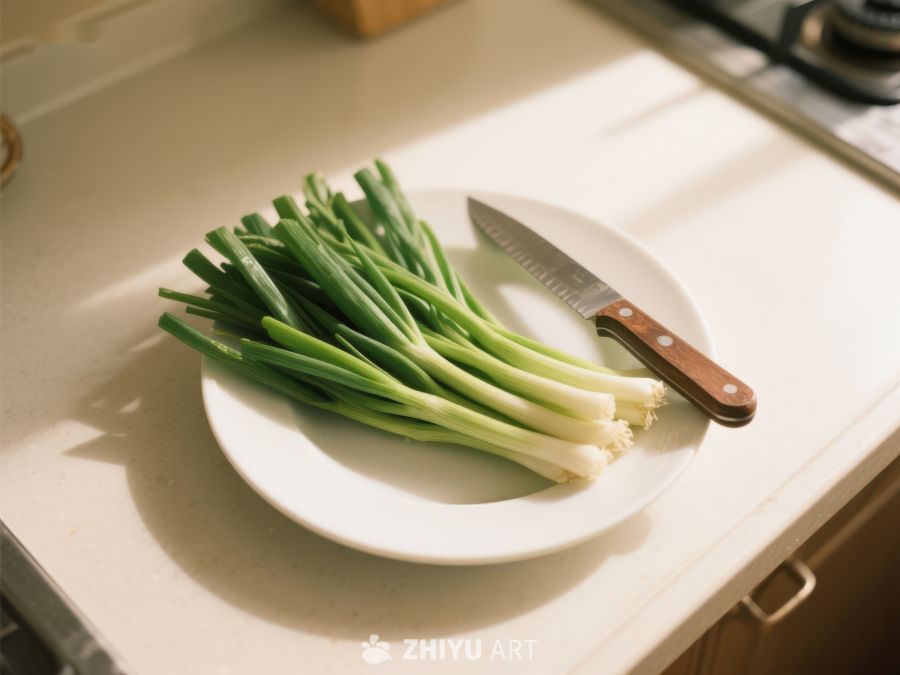 青葱与刀置于盘中，厨房台面 366