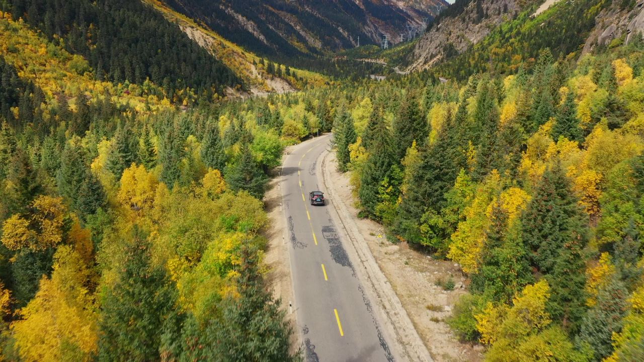航拍汽车行驶在秋天彩林间的公路上