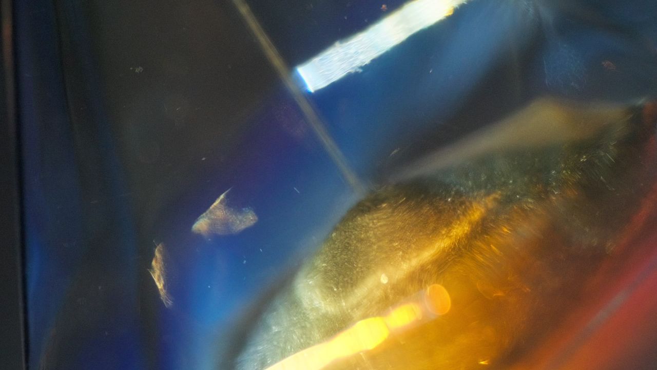 沙漏时间流逝争分夺秒光阴似箭特写微距