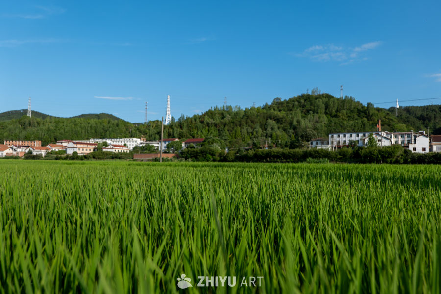 城市风景 32
