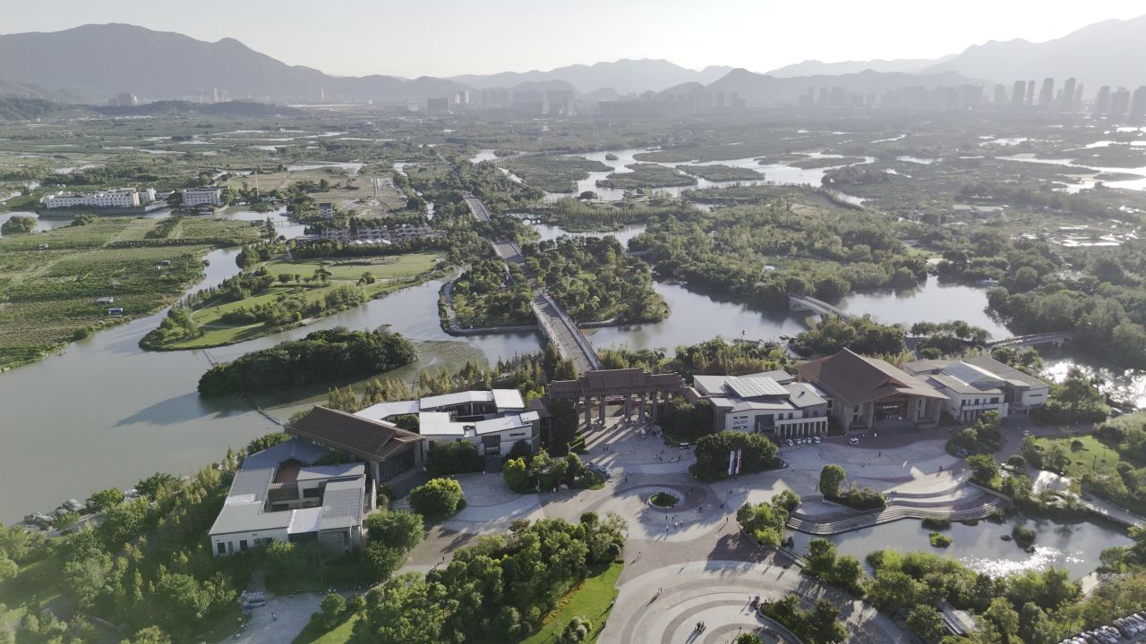温州三垟湿地风光 7