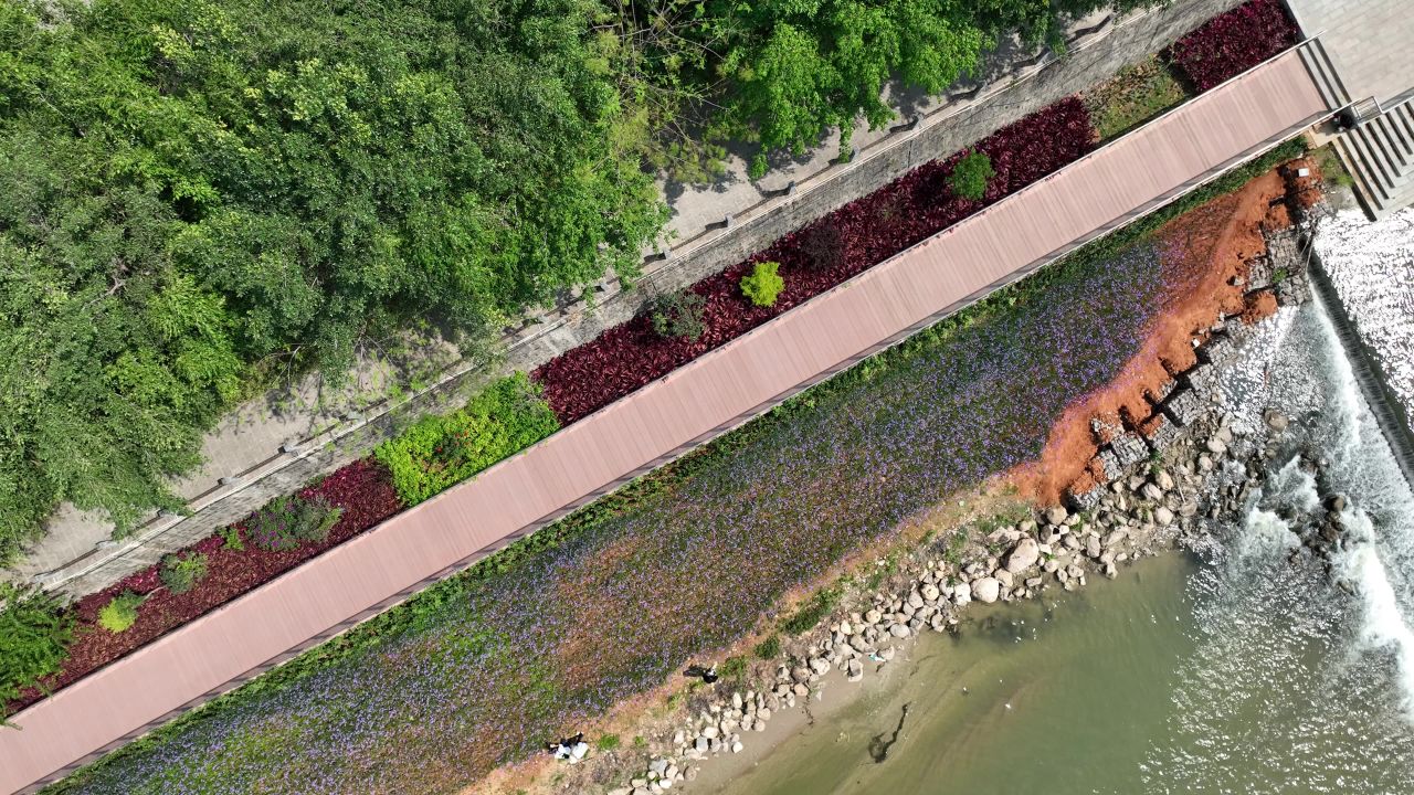 花海航拍 14