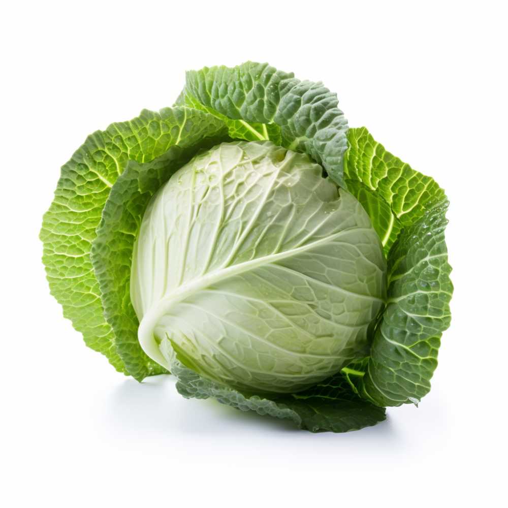摄影元素