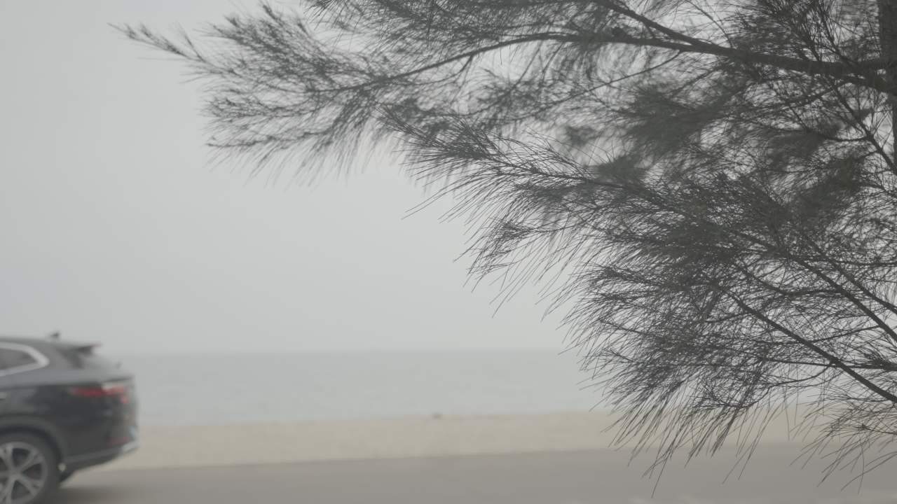 沙滩 25