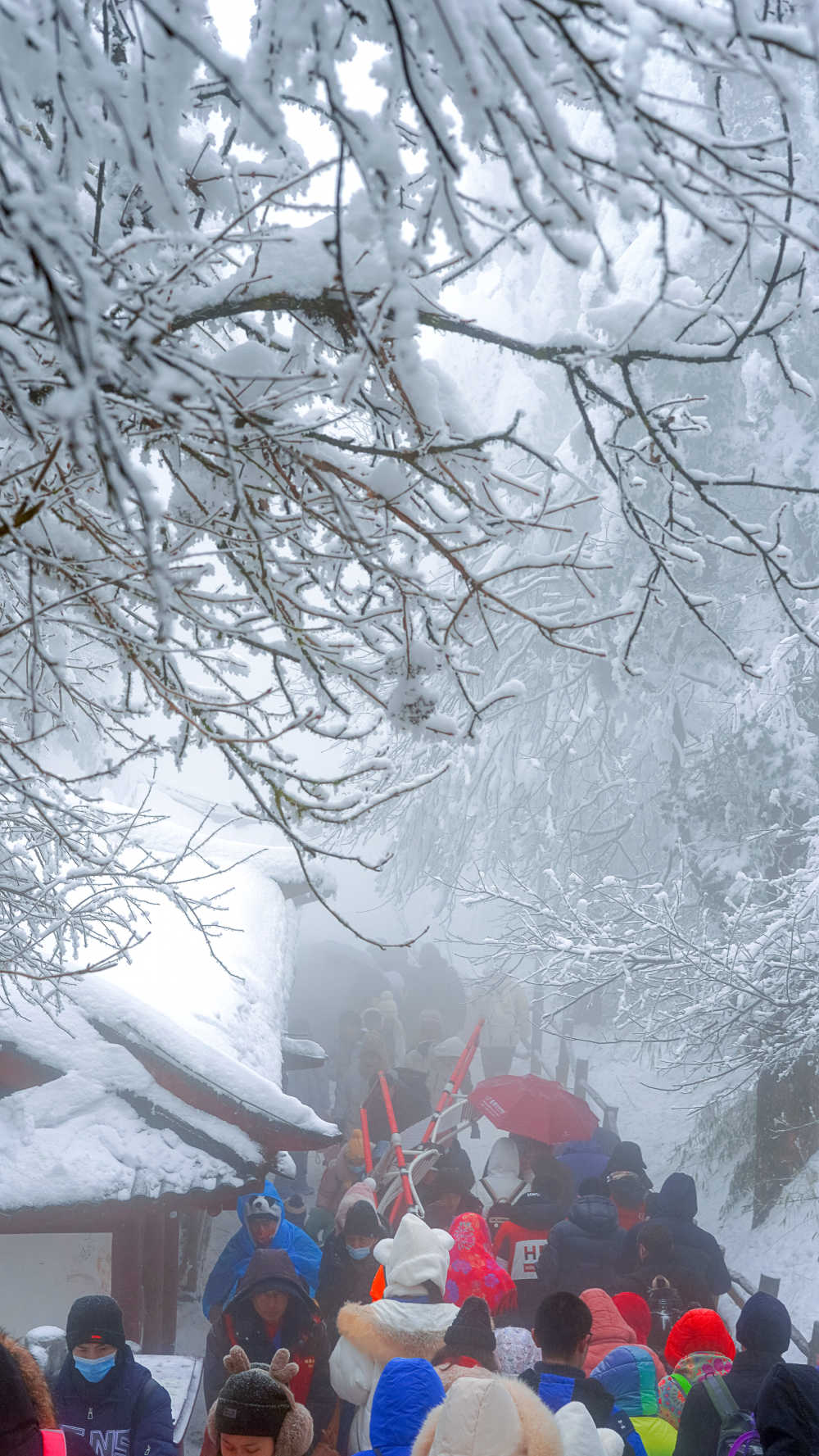 峨眉山雪