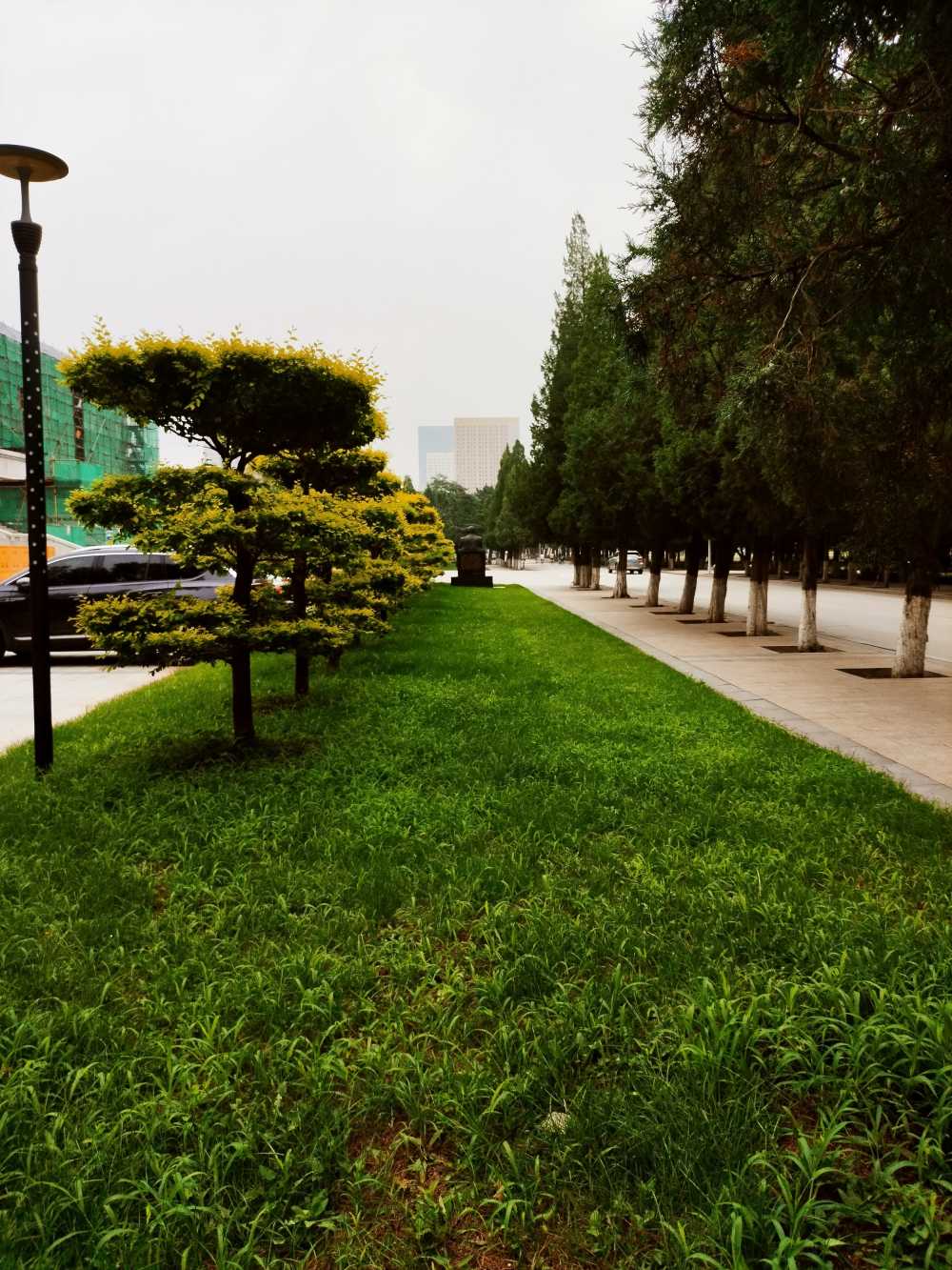 东北大学风景