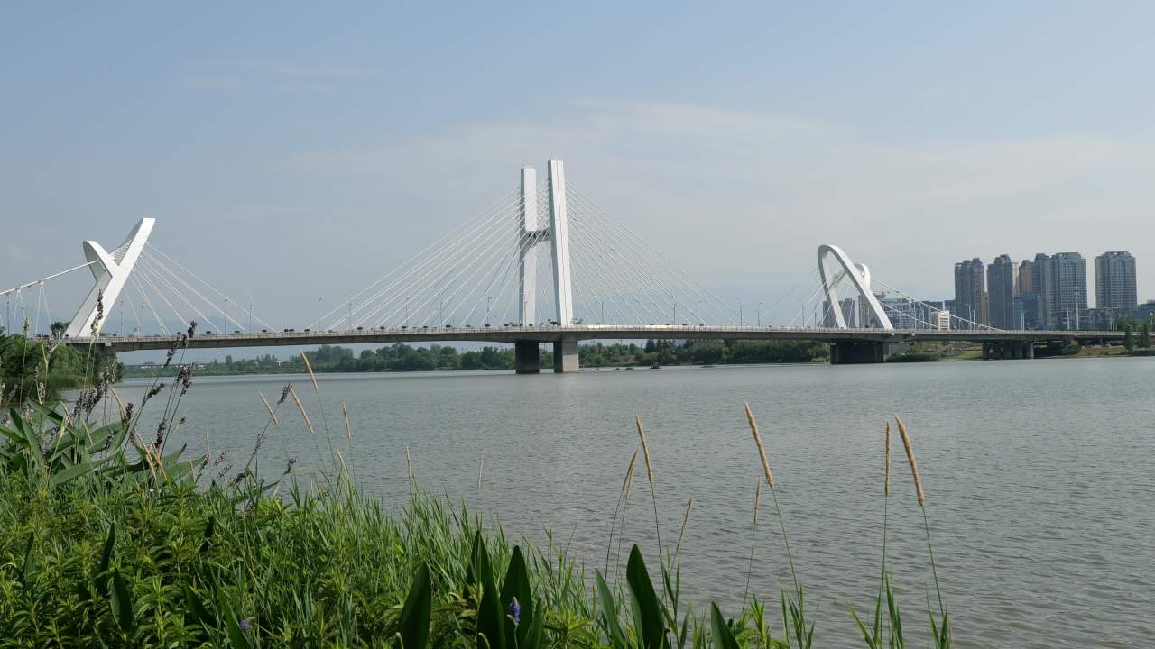 湿地公园一角 6