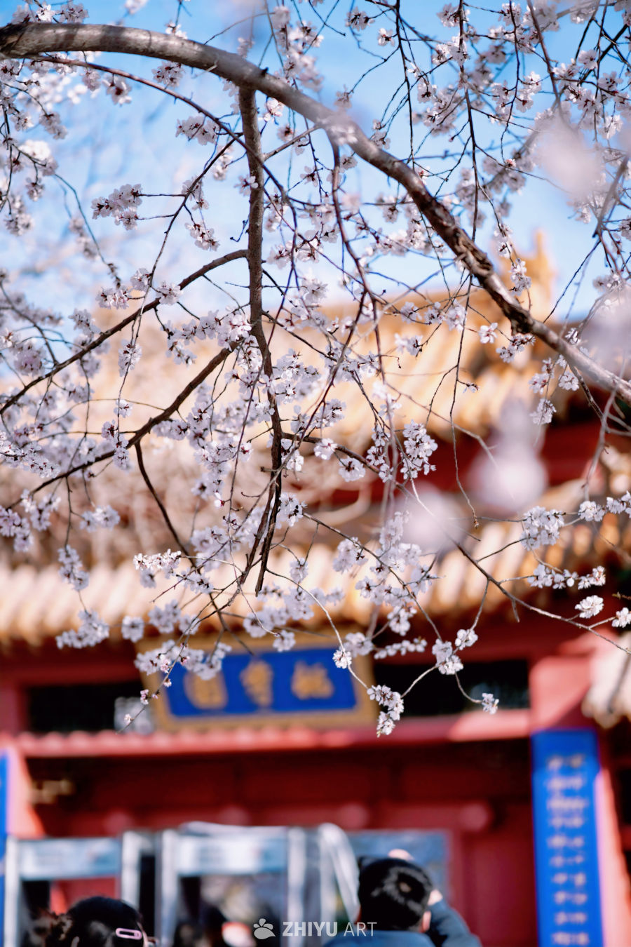 天津桃花堤