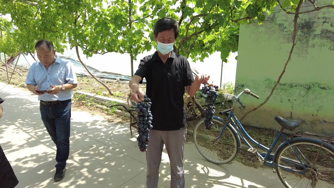 短视频创作者小城市乡村旅游活动记录素材