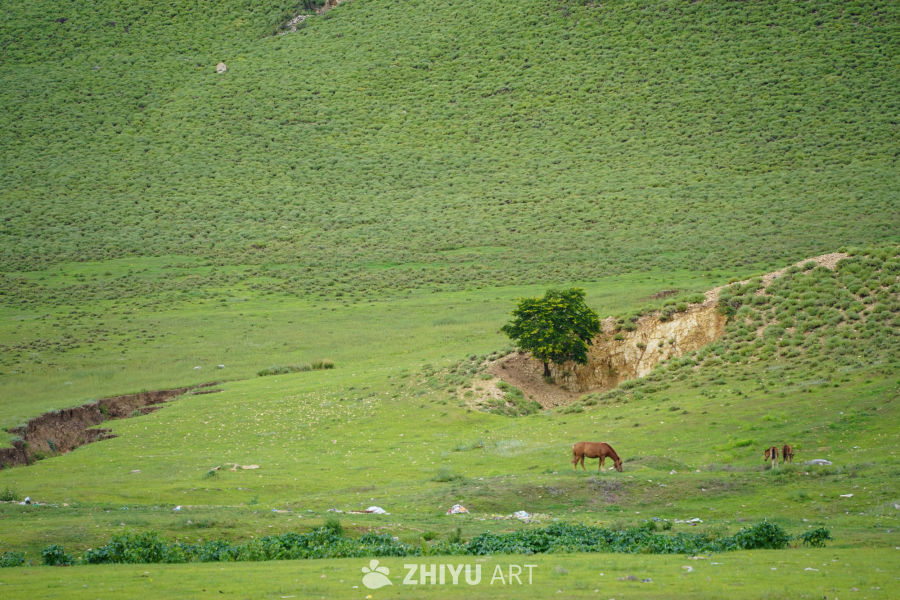 内蒙古东部小环线随拍 1