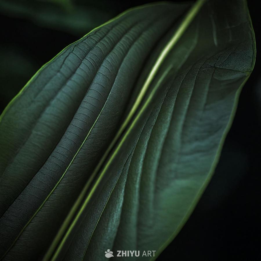 一片绿色的叶子，叶脉清晰可见，占据了画面的大部分。