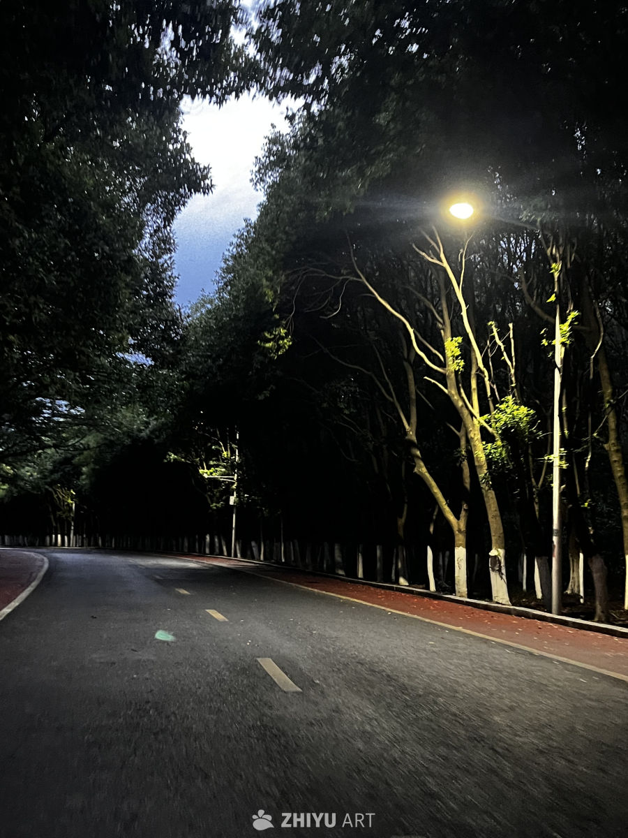 夜幕下的林间小道