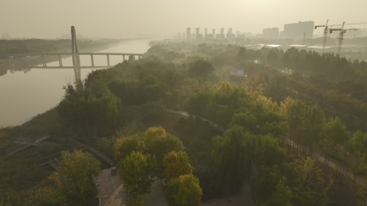 晨光中的城市与自然