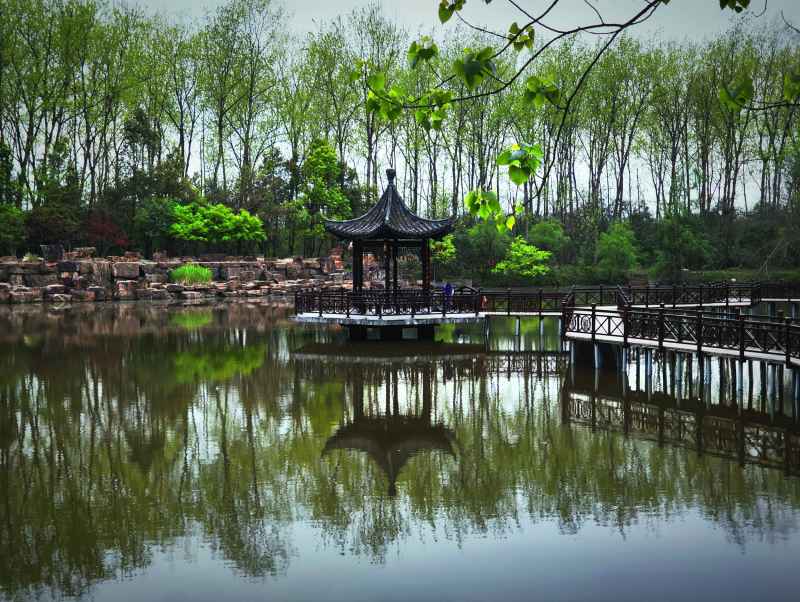 小清新