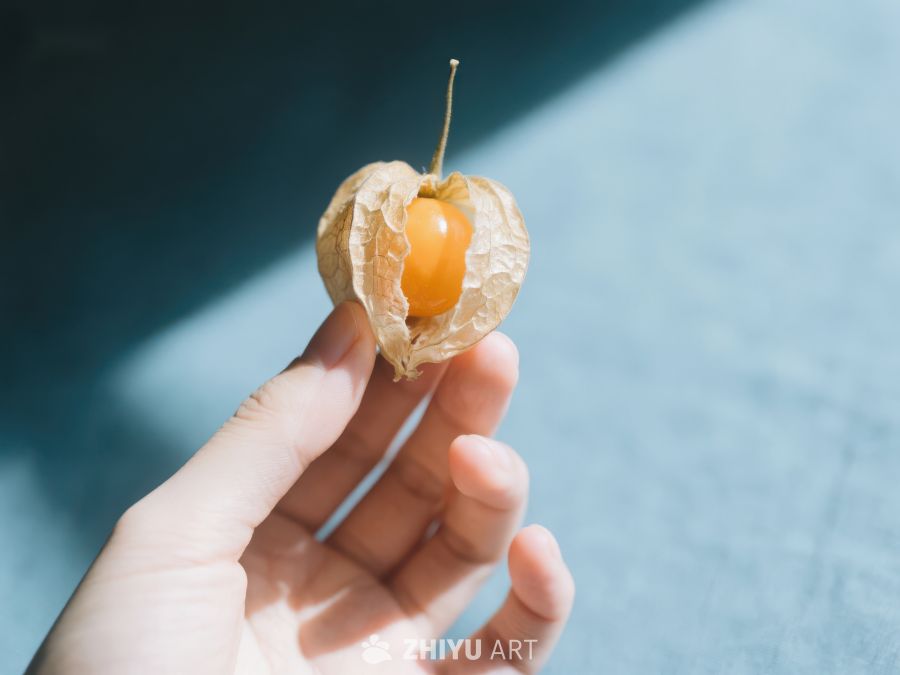 手握金色浆果，阳光照射 538