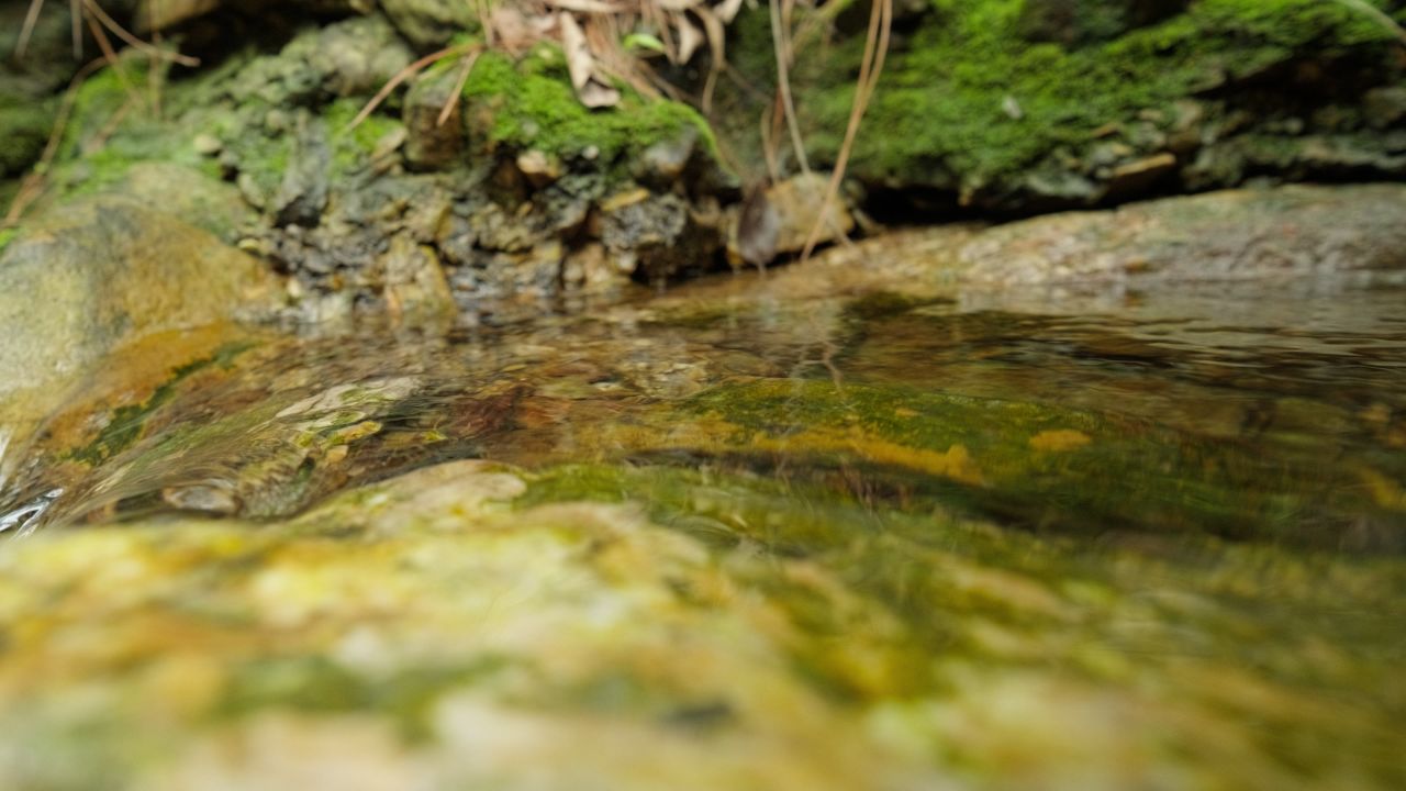 清澈山泉水温泉矿泉水小溪山涧 10