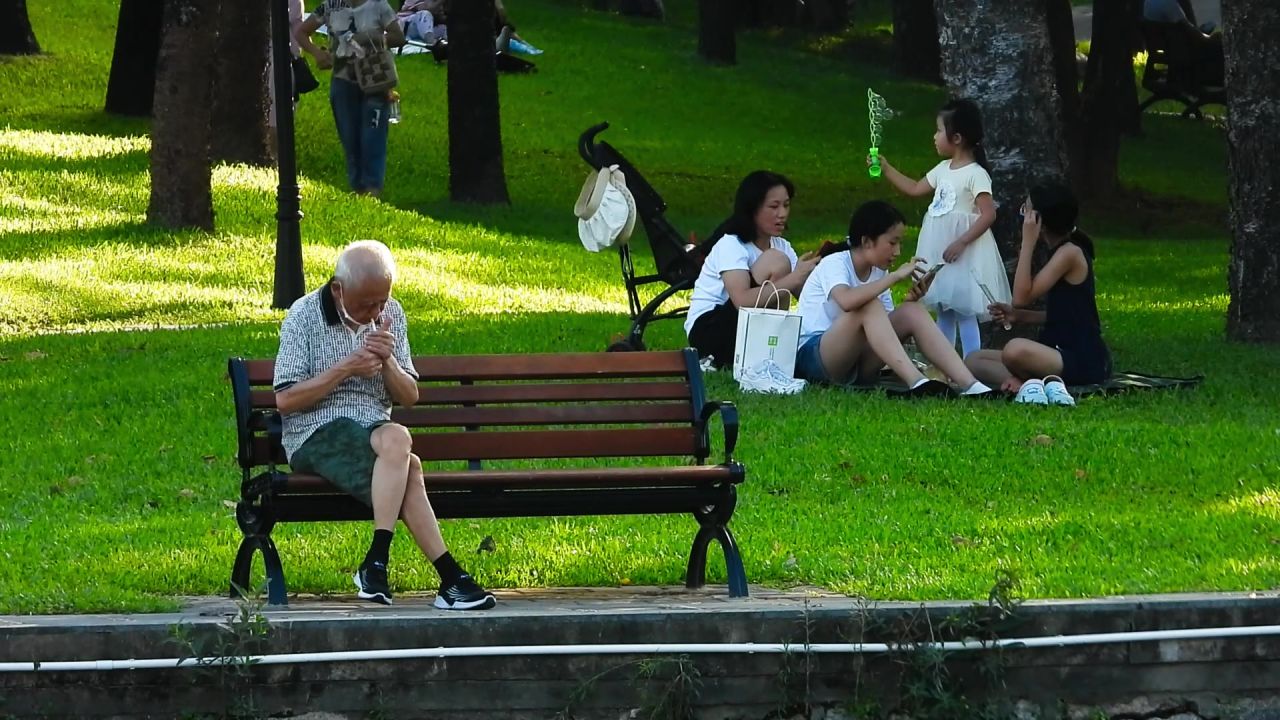 洪湖公园草坪长椅