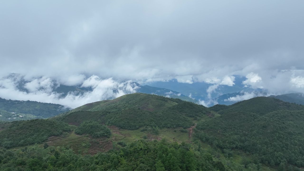 产业振兴 7