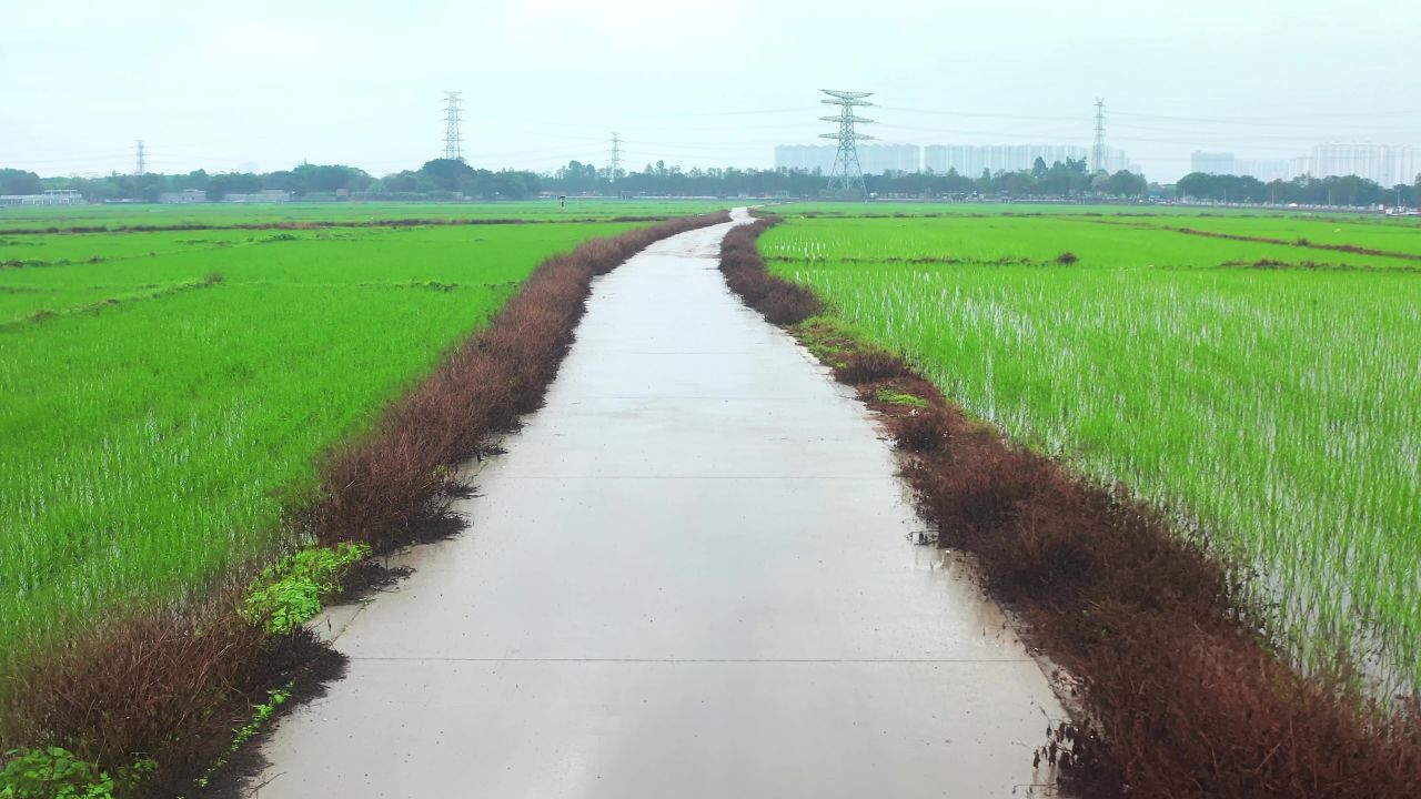 中山市崖口