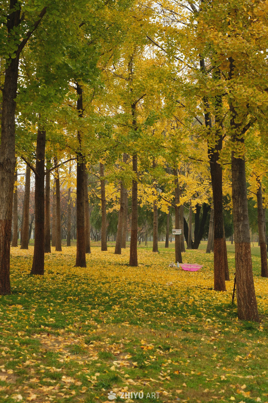 【实拍样片】富士X-S20相机实拍照片原片 3